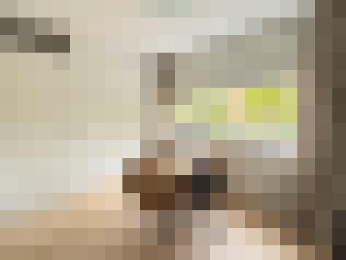  / #21