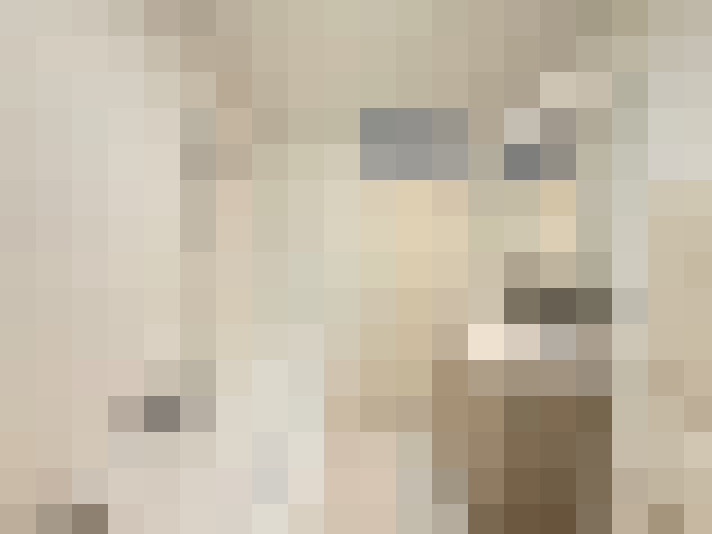  / #20