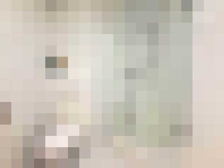  / #19