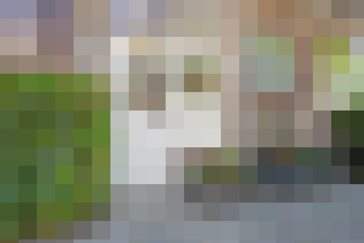  / #17