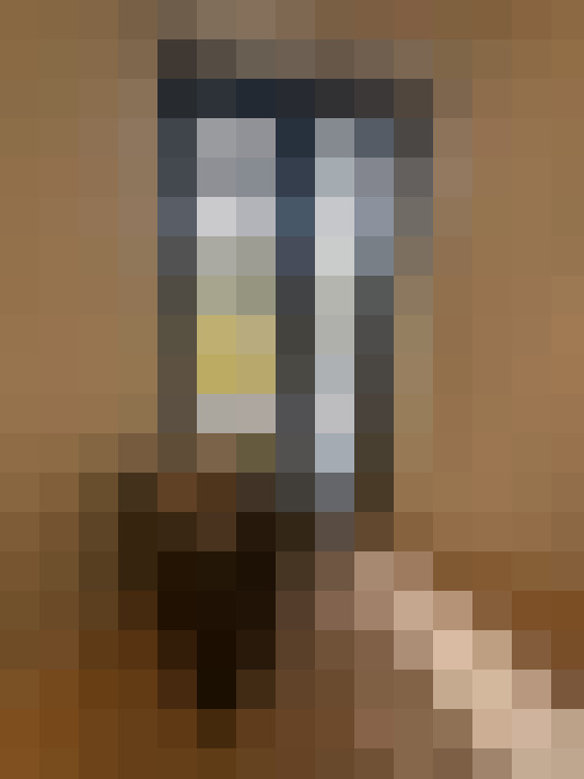  / #6
