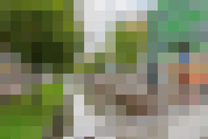  / #17