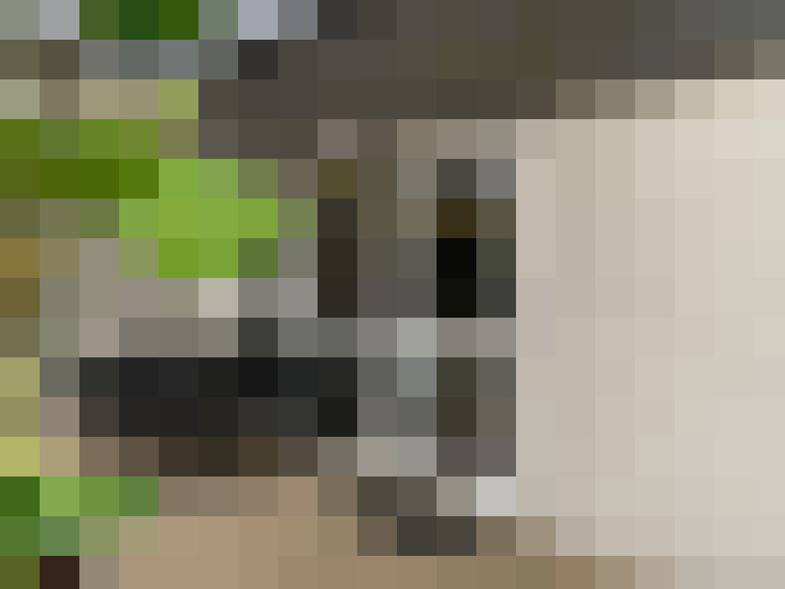 / #6