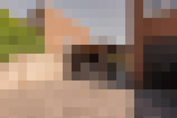  / #6