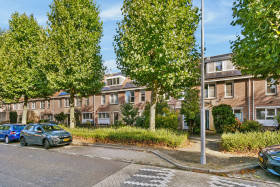 Dom — Amstelveen