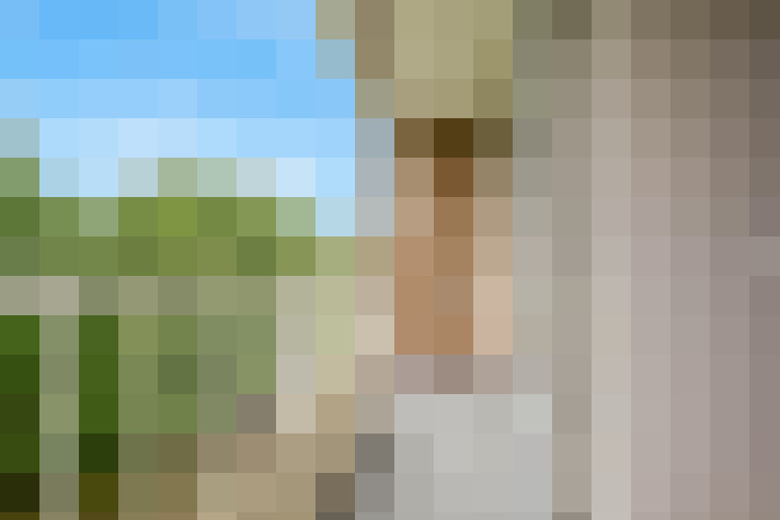  / #19