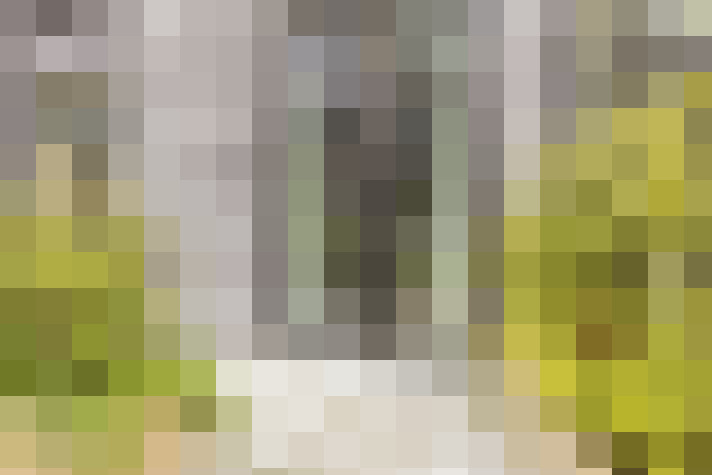  / #14