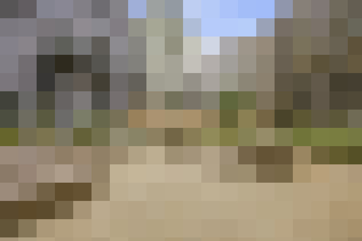  / #15