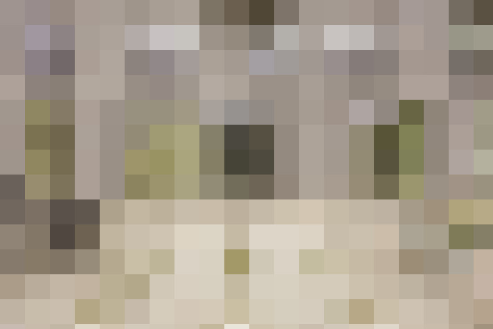  / #16