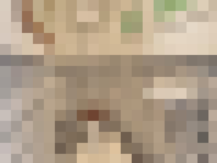  / #16