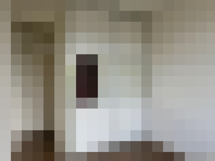  / #11