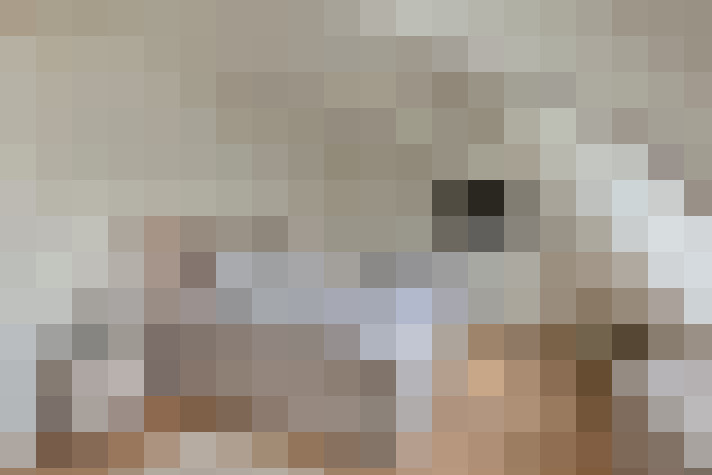  / #22