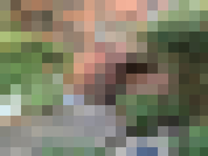  / #13
