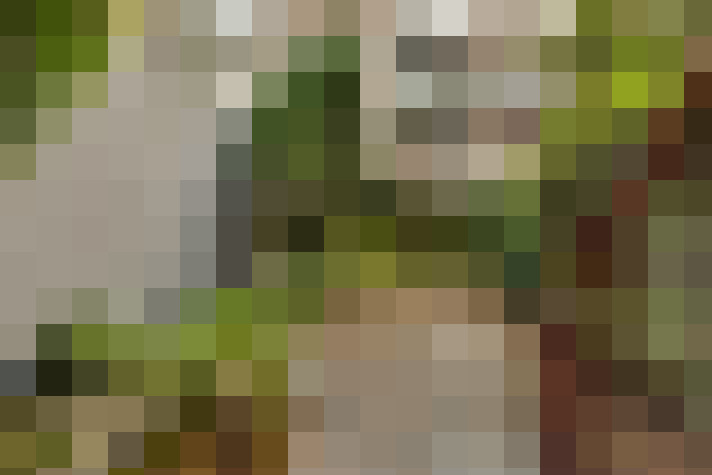  / #14