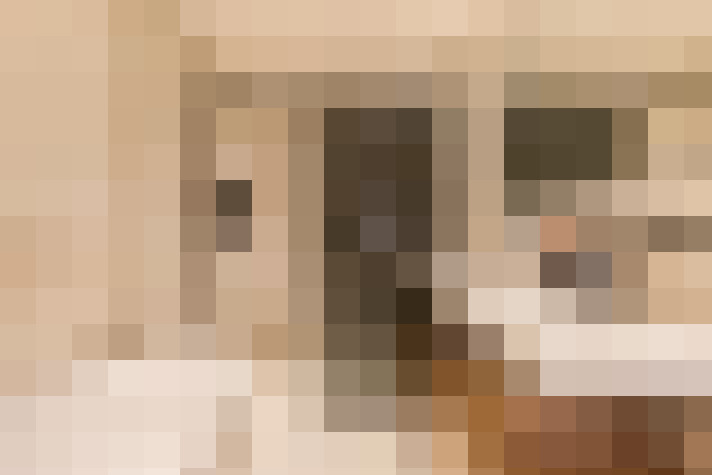  / #23