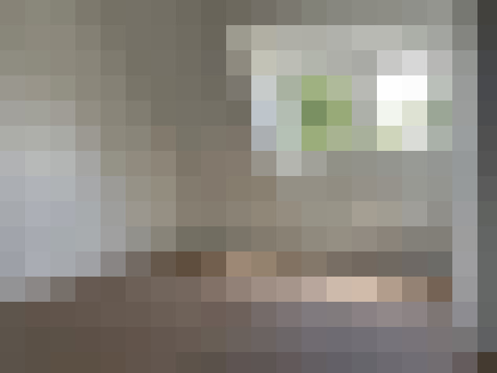  / #19