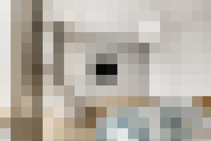  / #19