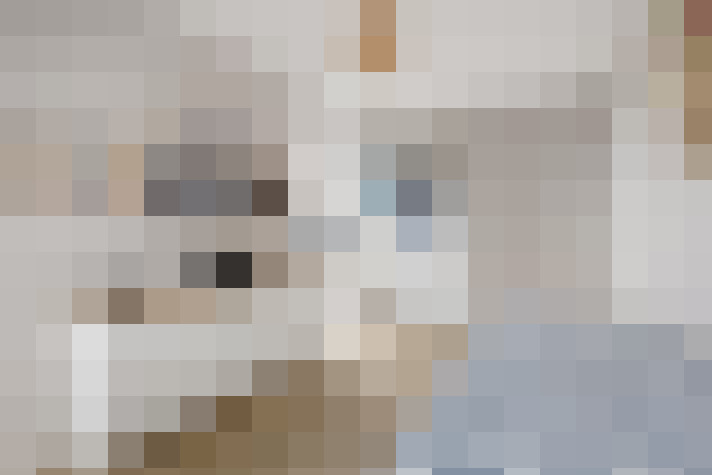  / #21
