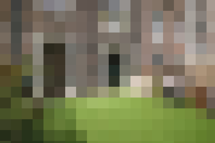  / #14