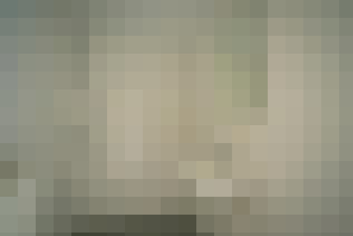  / #17