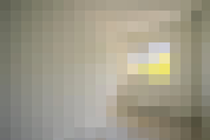  / #15