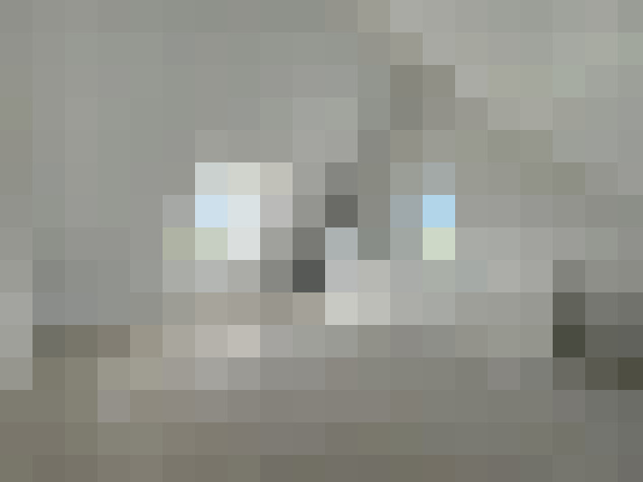  / #17