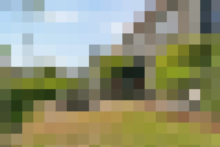  / #13