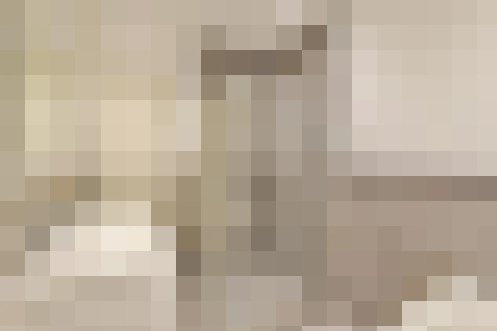  / #19