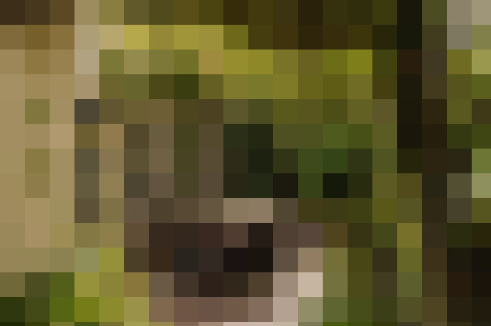  / #20