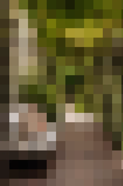  / #21