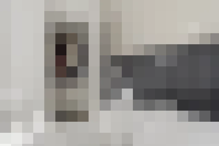 / #23
