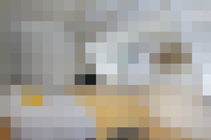  / #21