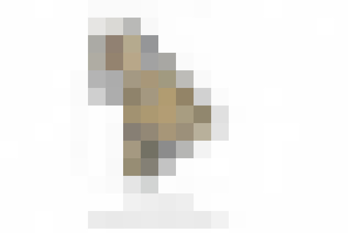  / #6