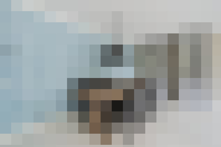  / #11