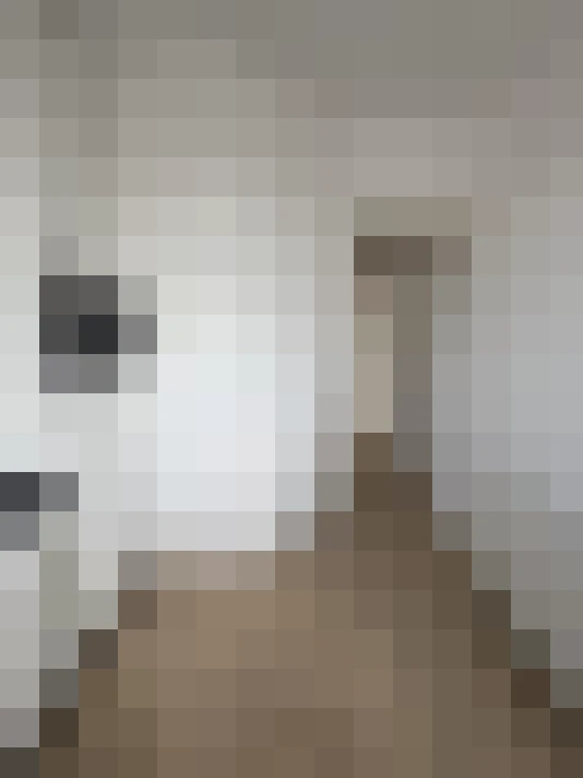  / #15