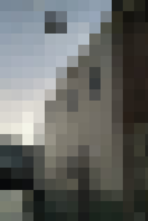  / #22