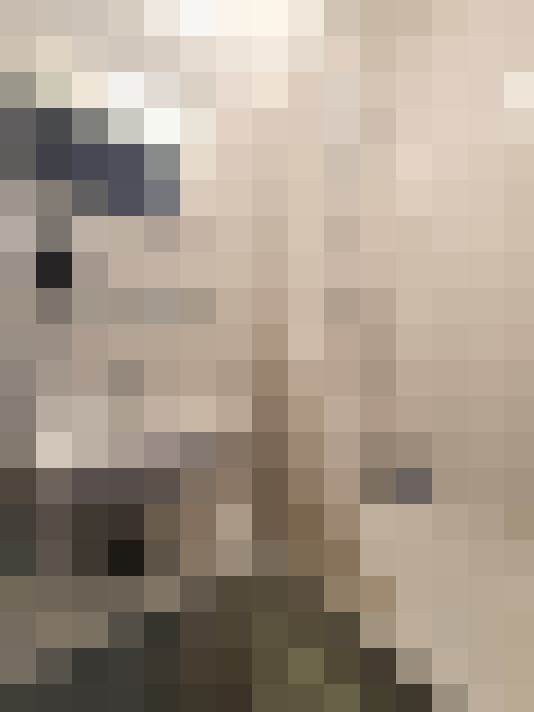  / #9