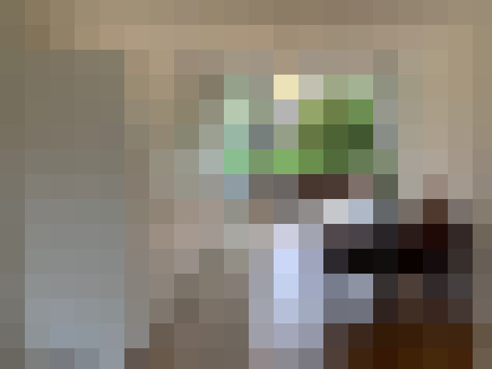  / #8
