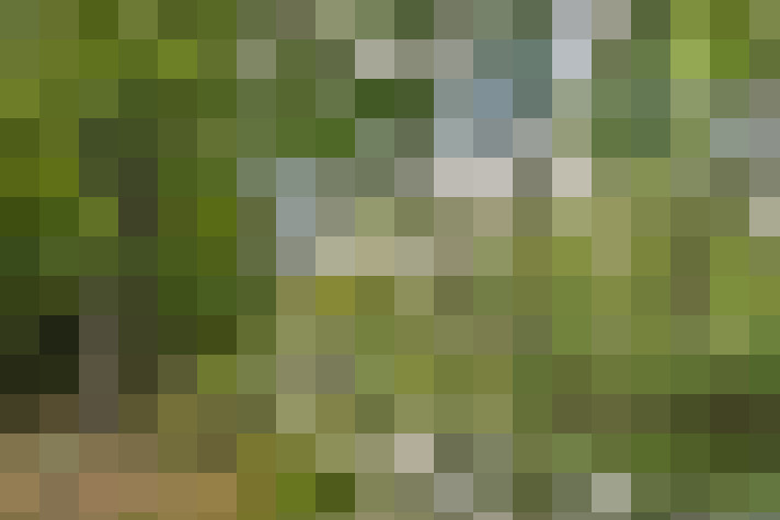  / #20