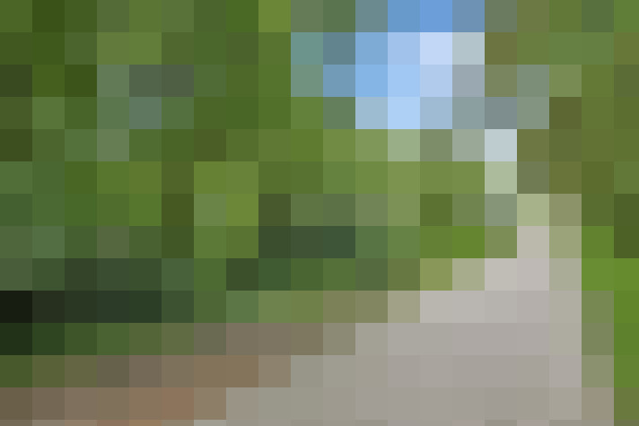  / #20