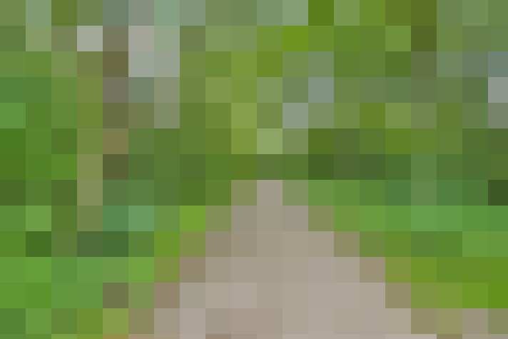  / #19