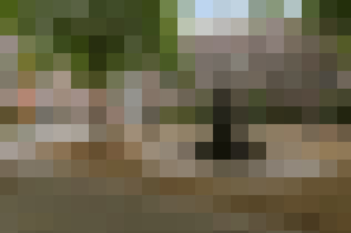  / #17
