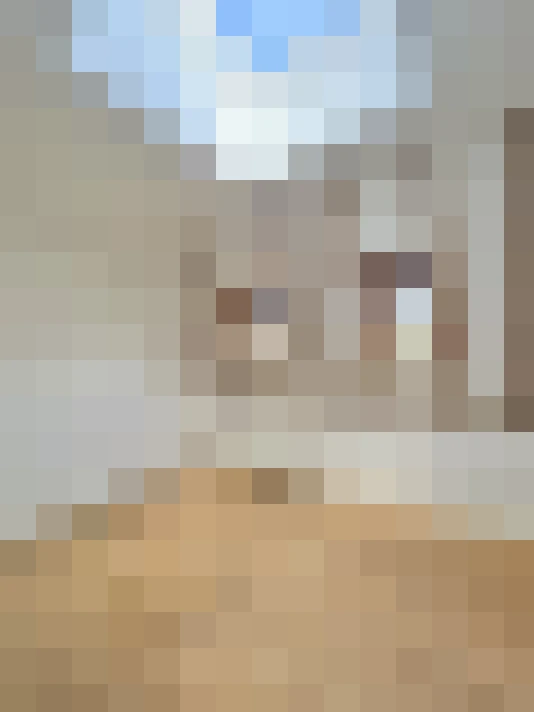  / #19