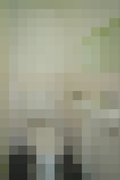  / #13