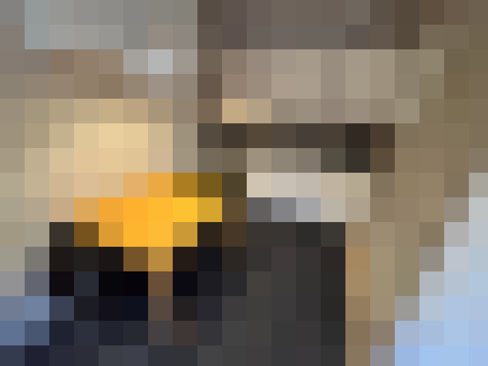  / #7