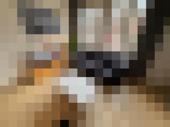  / #14