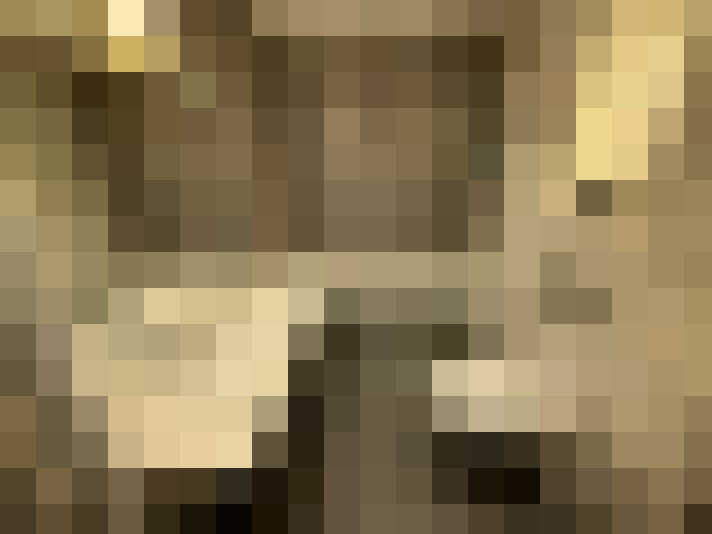  / #11