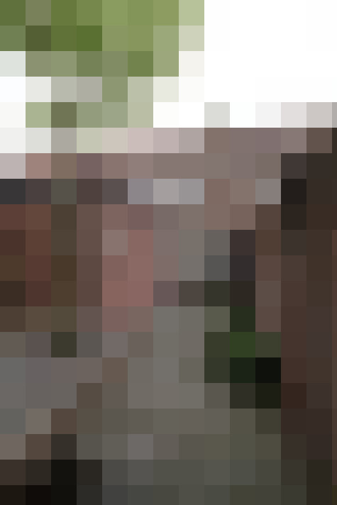  / #12