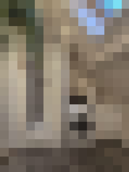  / #13