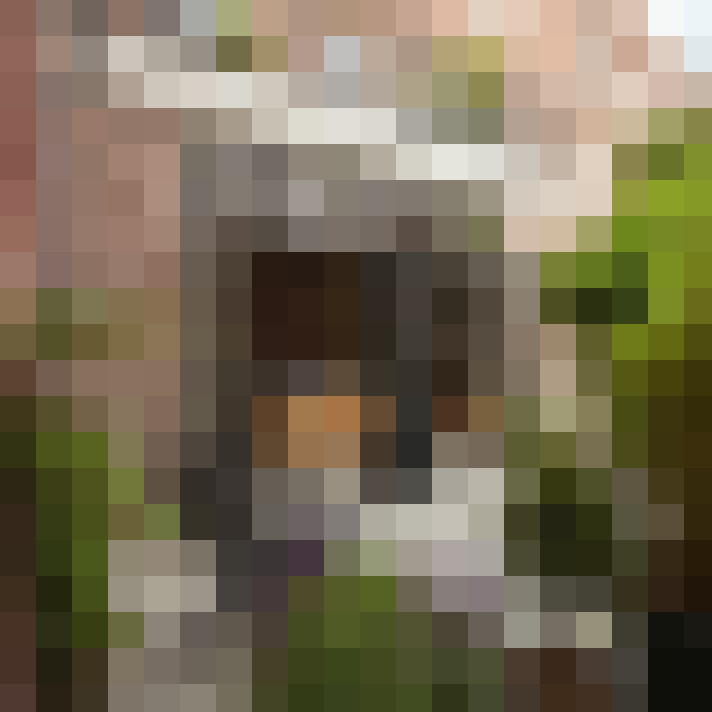  / #13